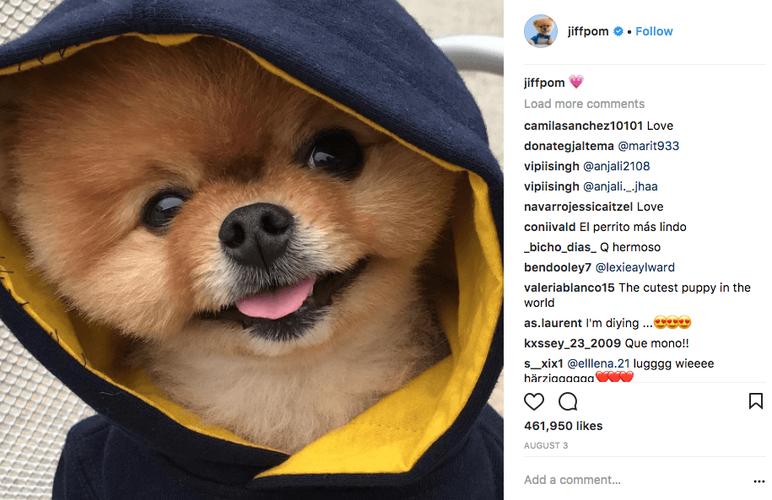 Jiffpom